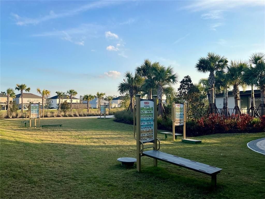 Backyard, Exterior, Playground