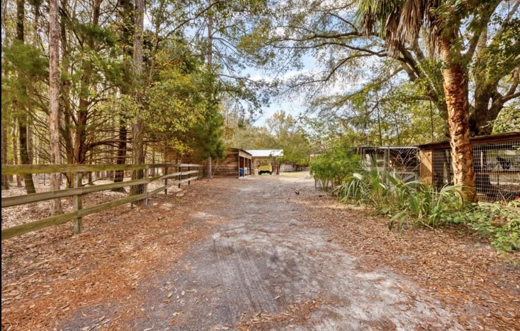 Backyard, Exterior