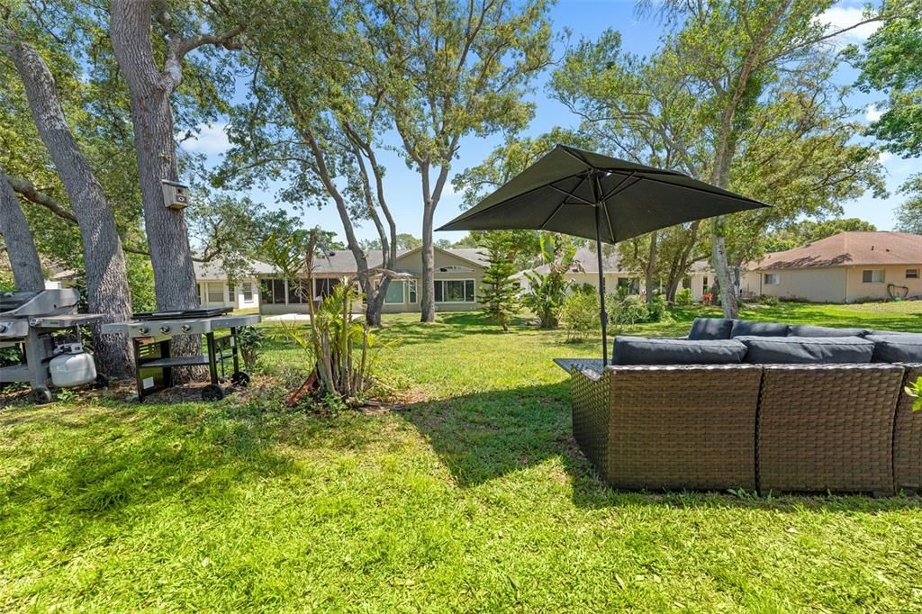 Backyard, Exterior