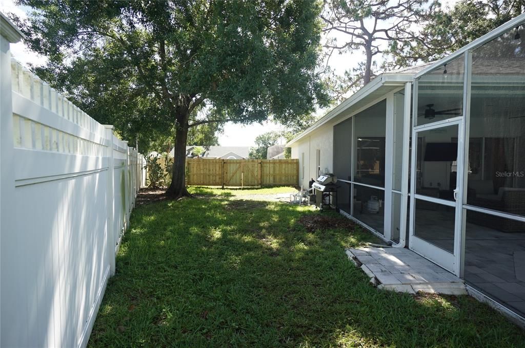 Backyard, Exterior