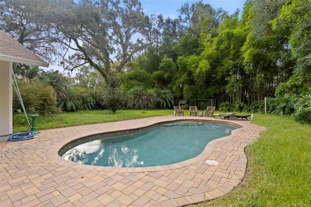 Exterior, Pool
