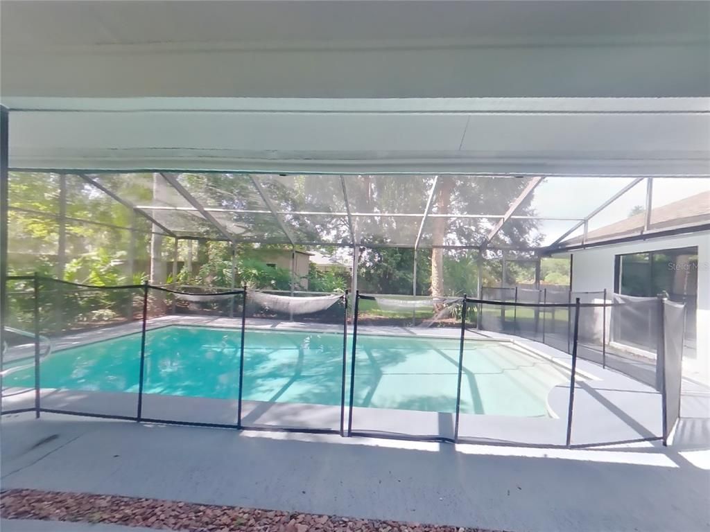 Glass Ceilings, Interior, Pool, Sun Room