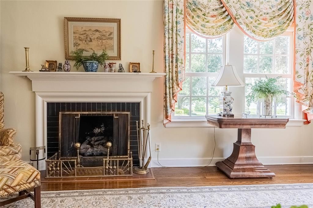 Fireplace, Interior, Wood Texture Flooring
