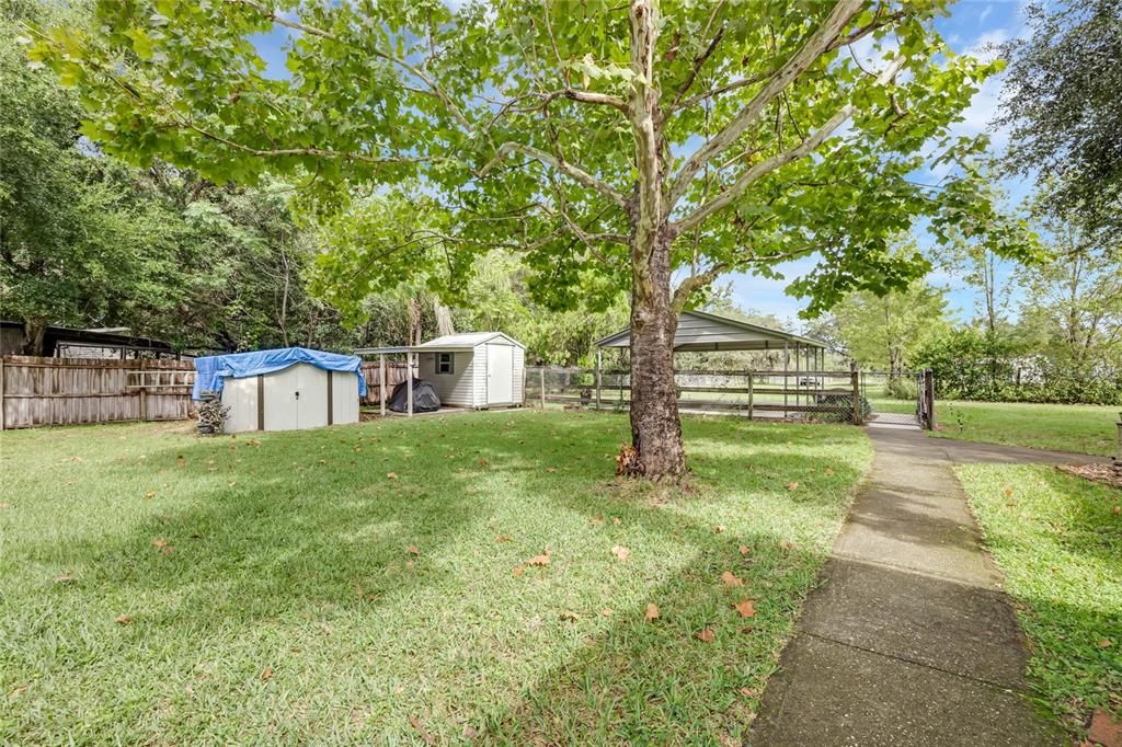 Backyard, Exterior