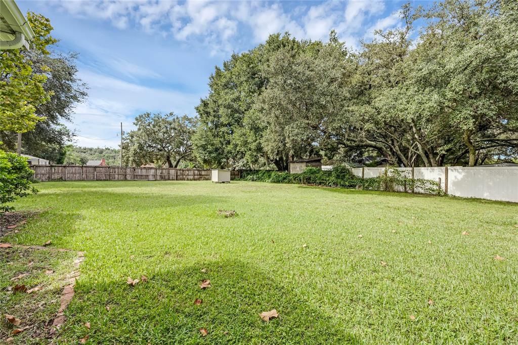 Backyard, Exterior