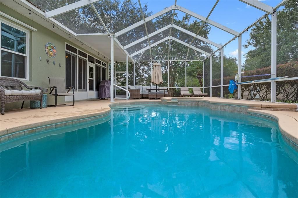 Glass Ceilings, Interior, Pool, Sun Room