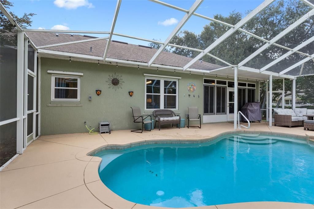 Glass Ceilings, Interior, Pool, Sun Room