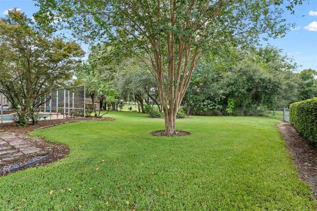Backyard, Exterior