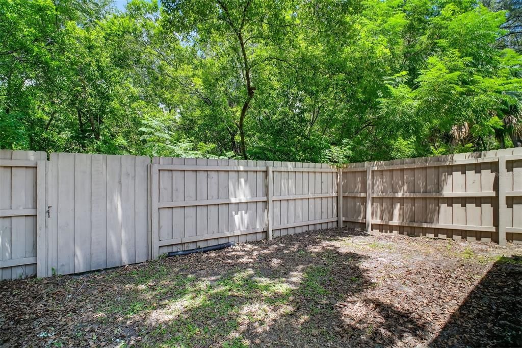 Backyard, Exterior