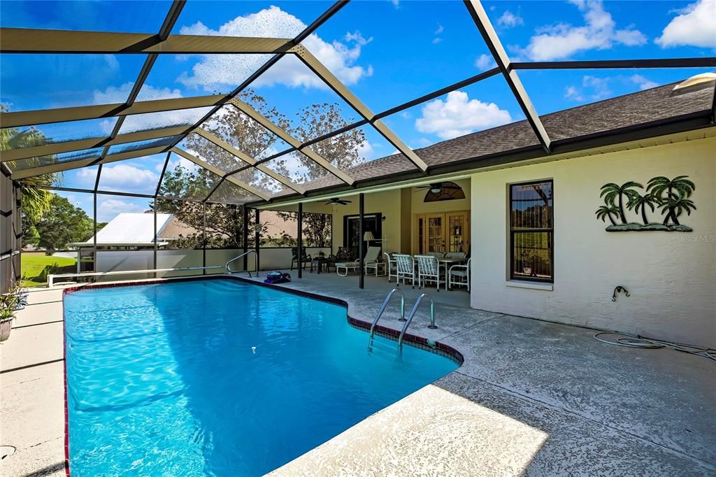 Glass Ceilings, Interior, Pool, Sun Room