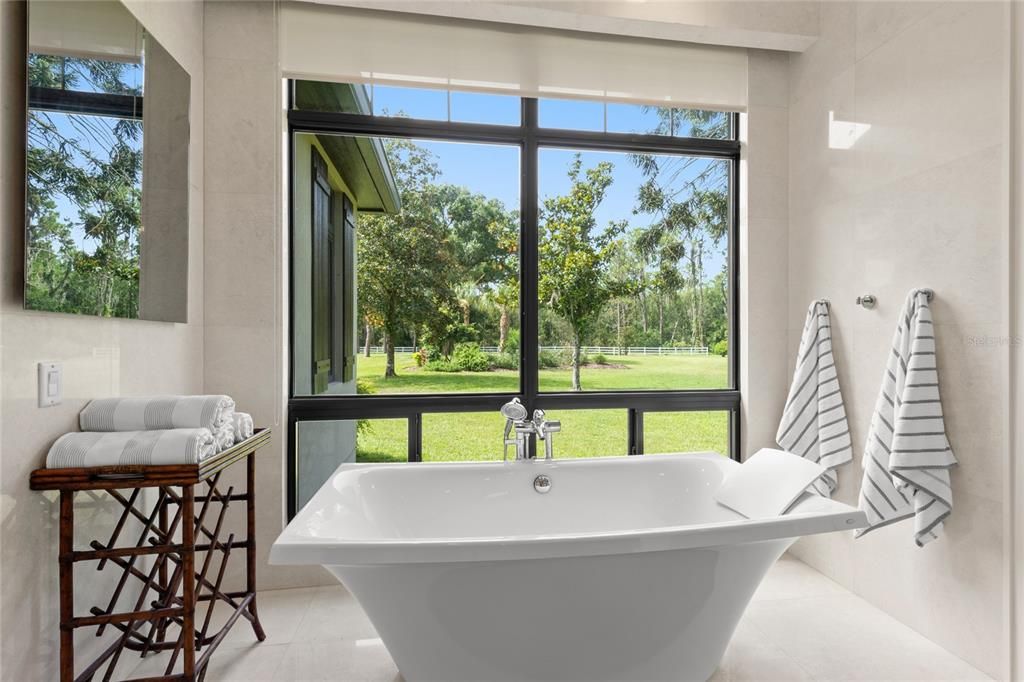 Bathroom, Free Standing Baths, Interior