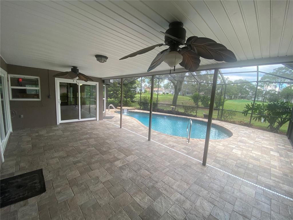 Glass Ceilings, Interior, Pool, Sun Room