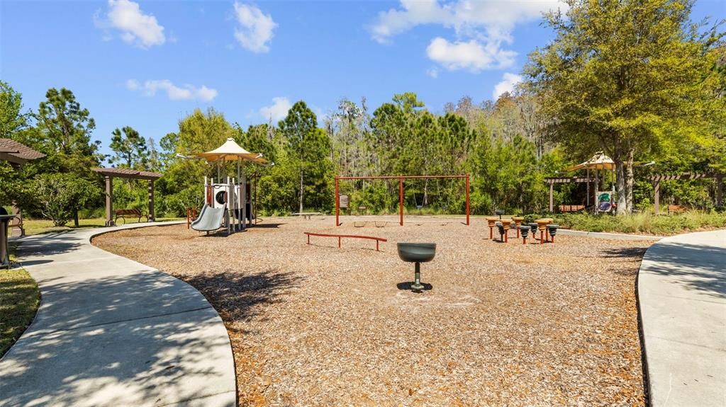 Backyard, Exterior, Playground