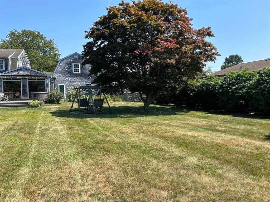 Backyard, Exterior, Playground