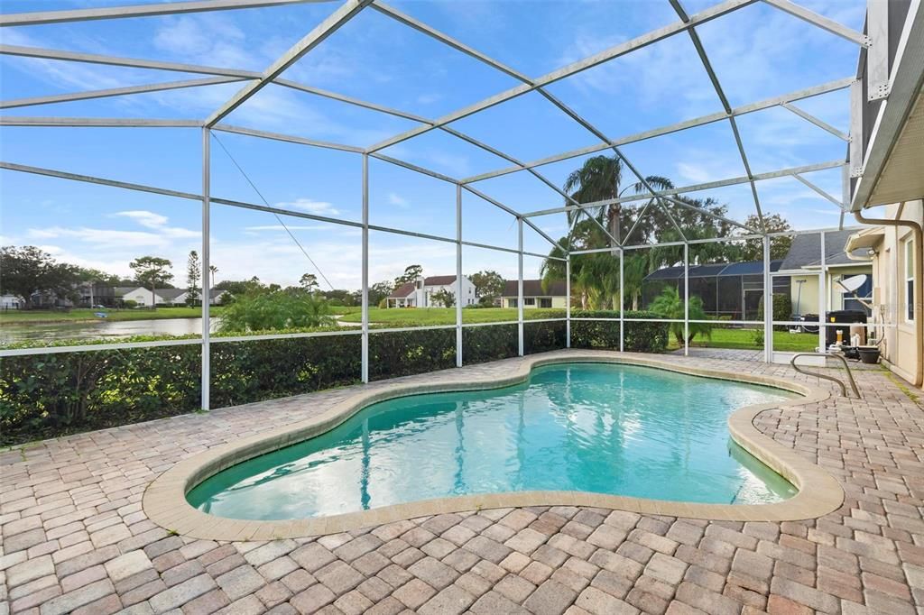 Glass Ceilings, Interior, Pool, Sun Room, Water
