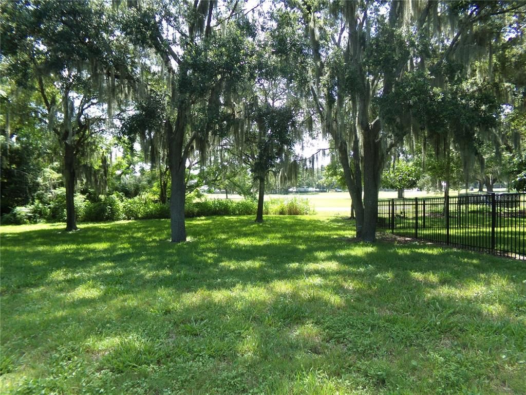 Backyard, Exterior