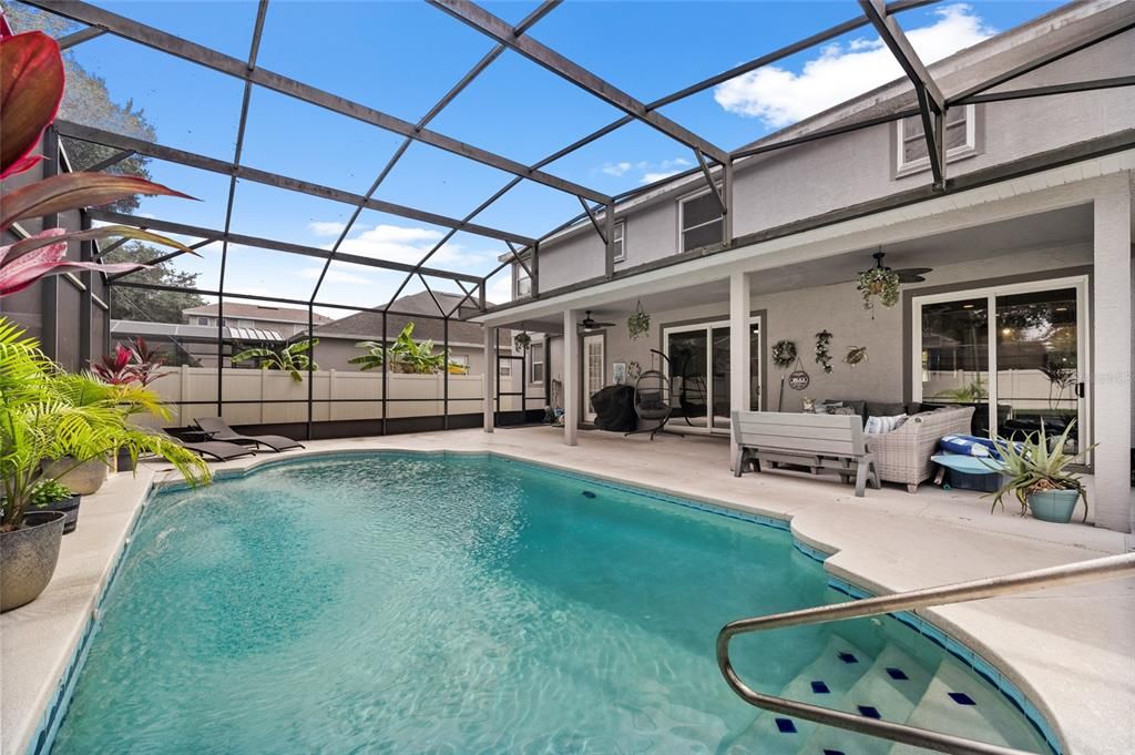 Glass Ceilings, Interior, Pool, Sun Room