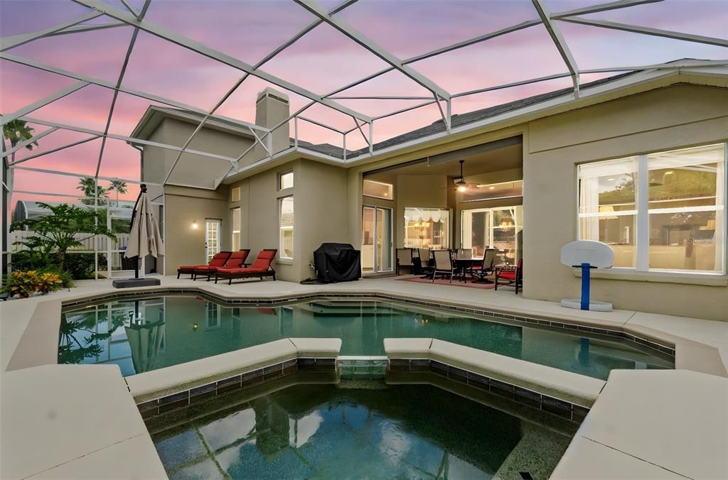 Glass Ceilings, Interior, Pool, Sun Room