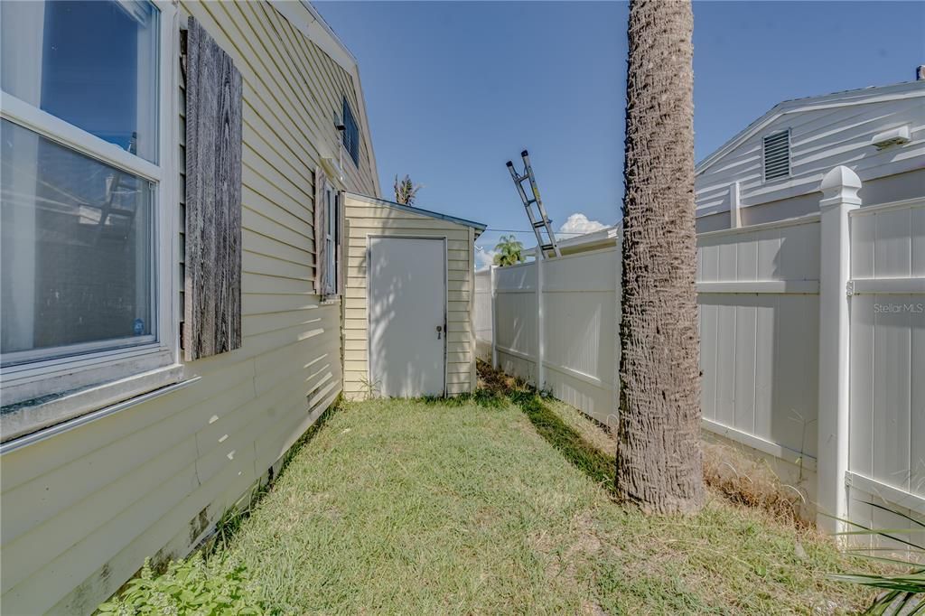 Backyard, Exterior