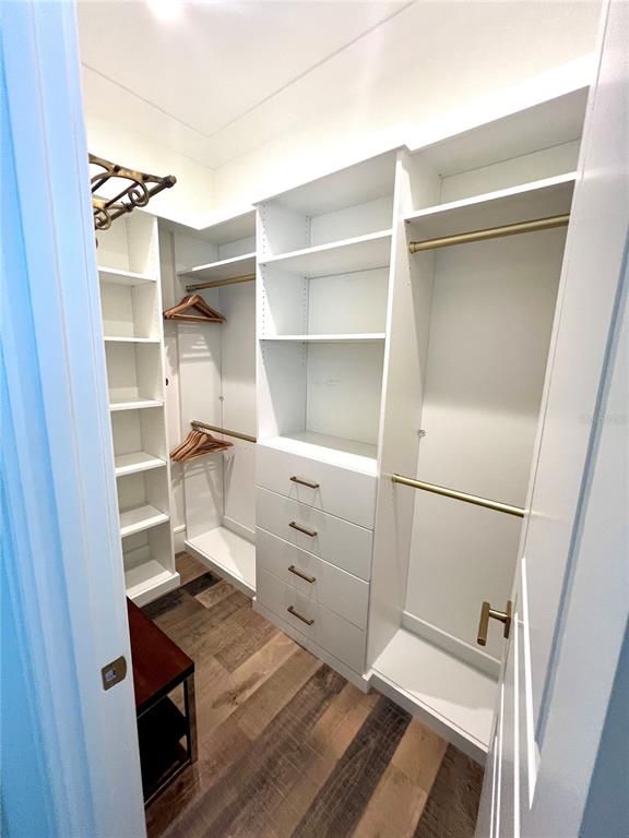 Interior, Walk-in Closets, Wood Texture Flooring