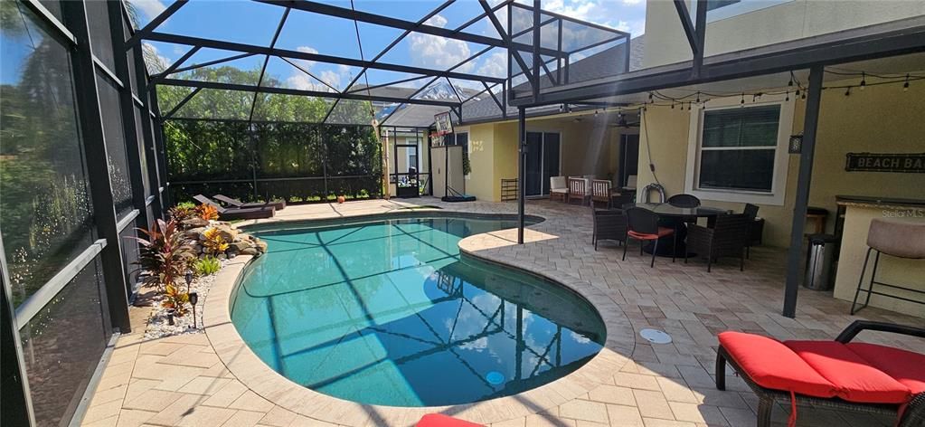 Glass Ceilings, Interior, Pool, Sun Room