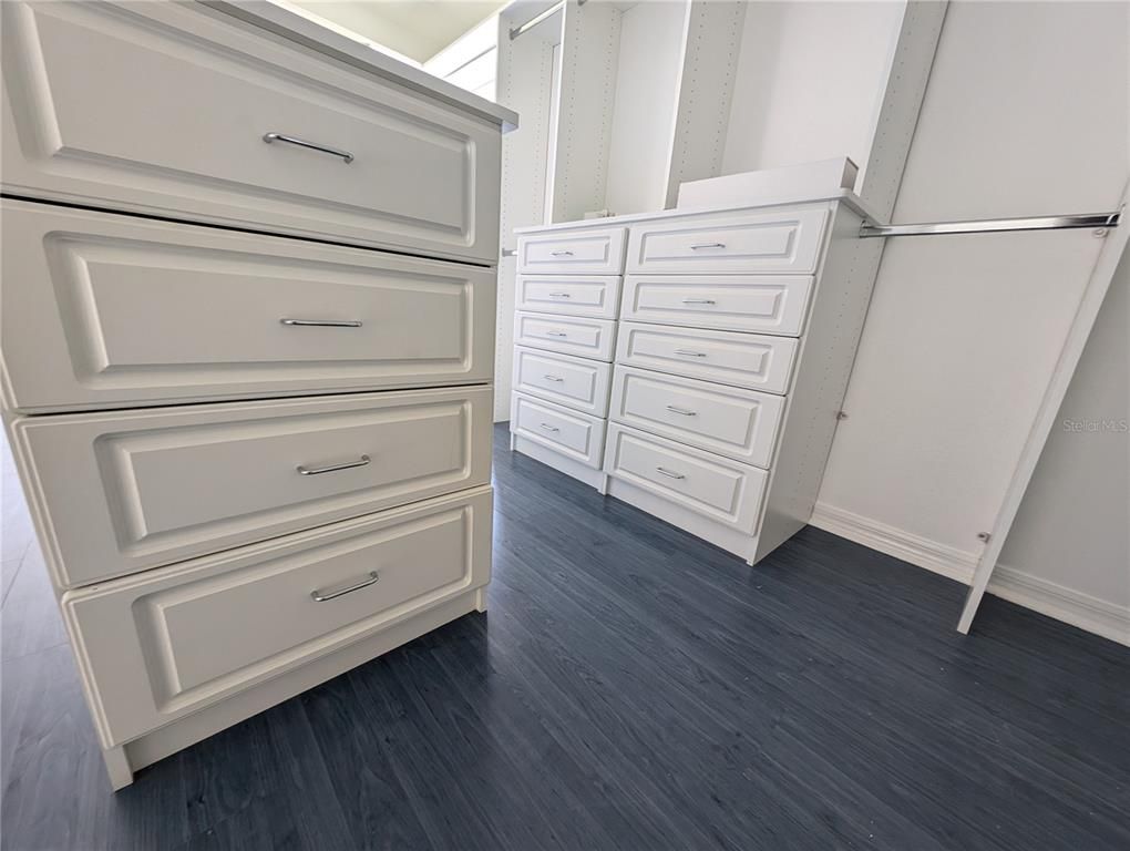 Interior, Walk-in Closets, Wood Texture Flooring