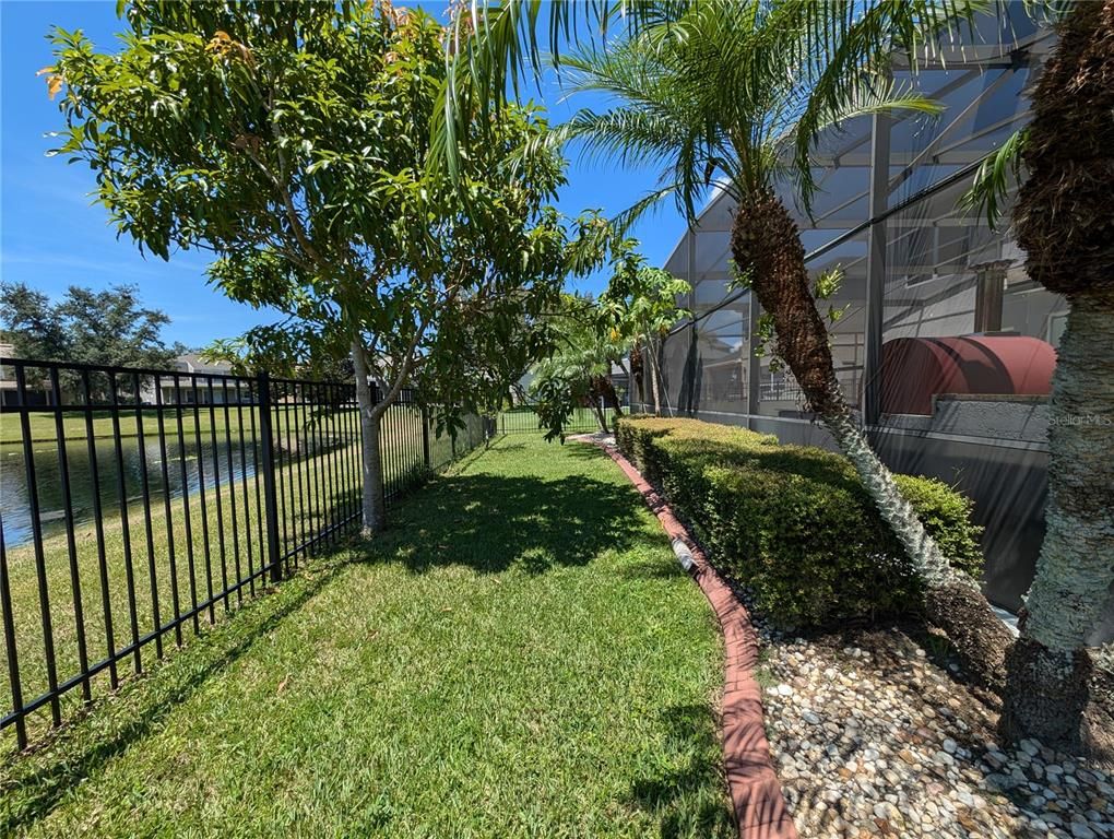 Backyard, Exterior, Water