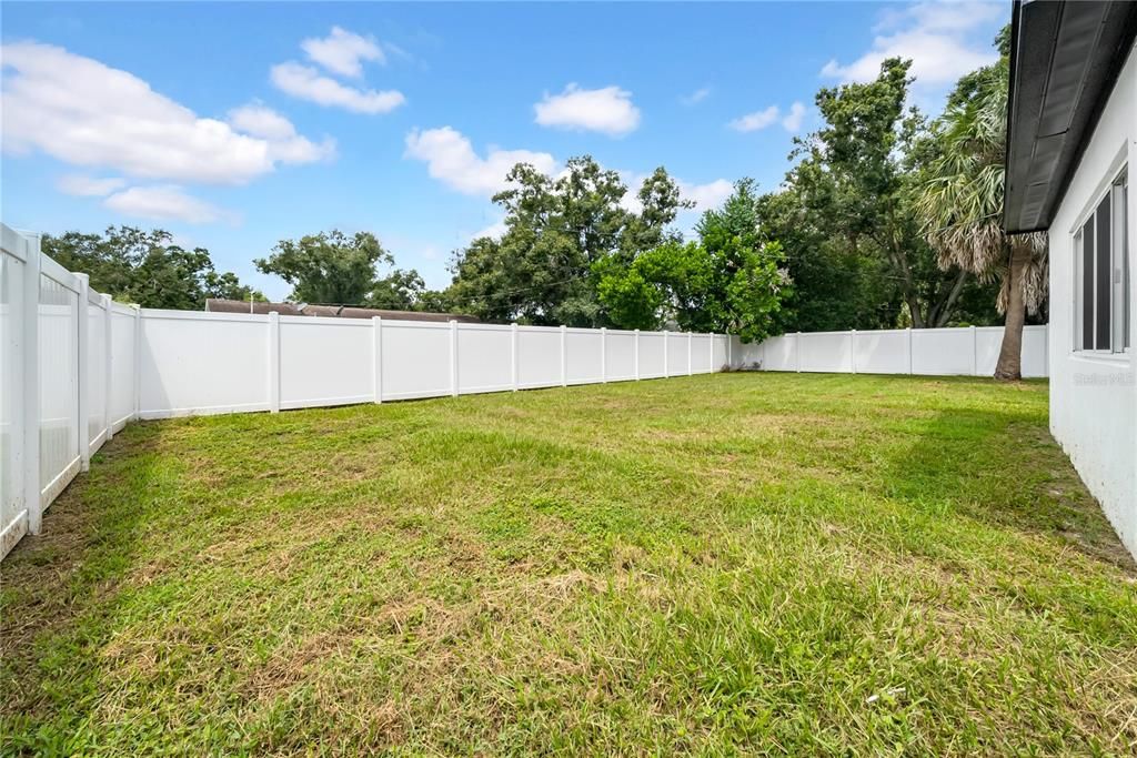Backyard, Exterior