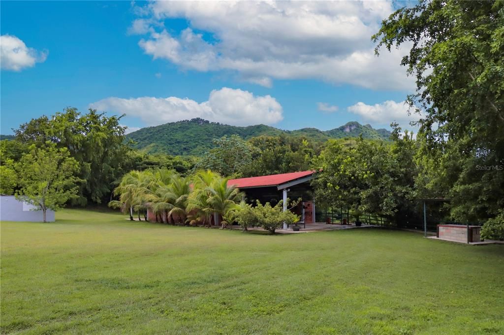 Backyard, Exterior
