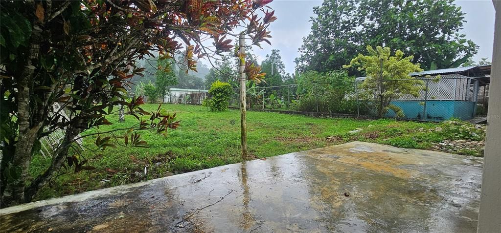 Backyard, Exterior