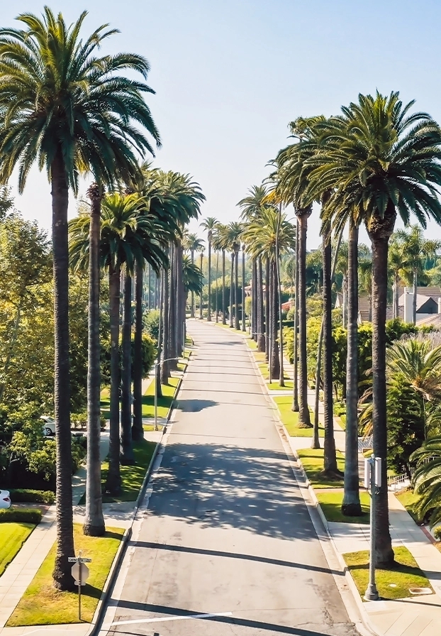 Beverly Hills market card