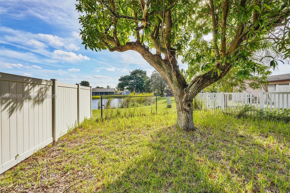 Backyard, Exterior, Water