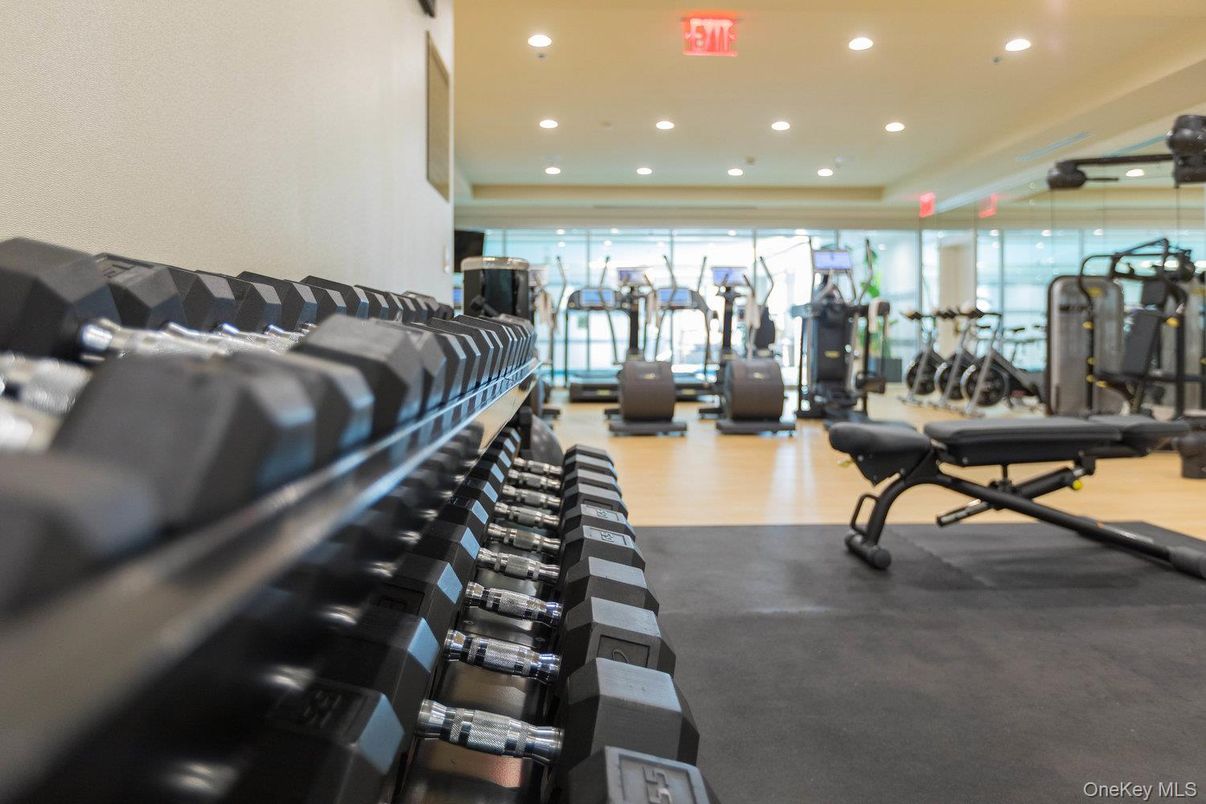Fitness Equipment, Gym, Interior, Recessed Lighting